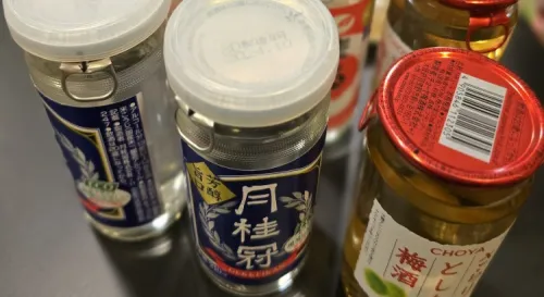 許願看雪旅遊第六天回家