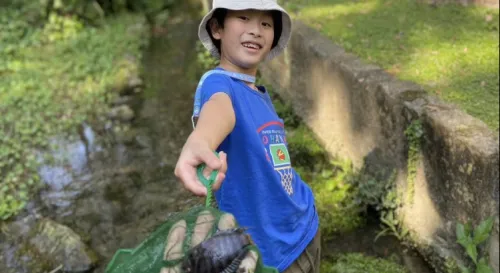 簡簡單單的滿足