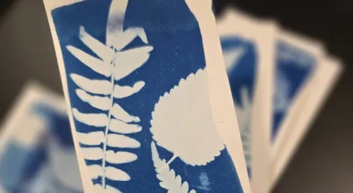 暑期課後班都在做些甚麼