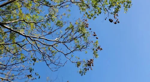 一點遲疑，可能就會錯失機會。