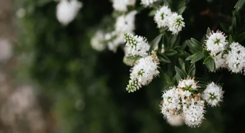 我想我在想你了