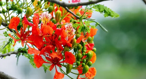 走出自我懷疑，重建家庭信任的旅程