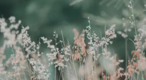 重塑自我，從失落到自信的心靈之旅