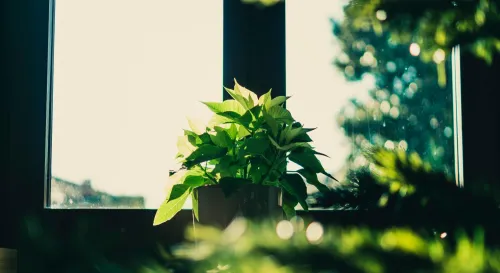 走出家庭期望的陰影，重拾自我價值的旅程