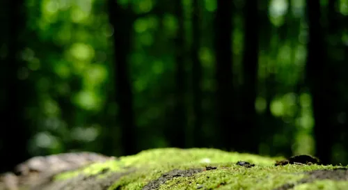 釋放內心焦慮的五個簡單方法，讓生活重回正軌