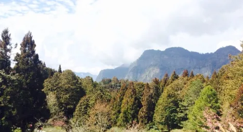 緩解焦慮的有效方法與實用技巧分享