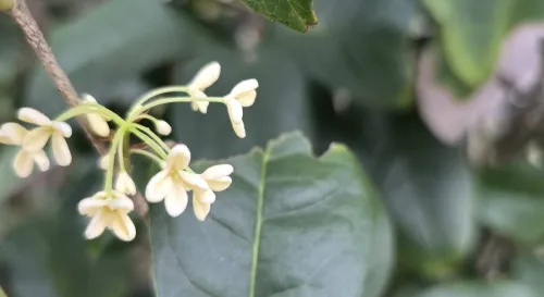 職場生存指南，學會這些技巧，讓你更安全自在