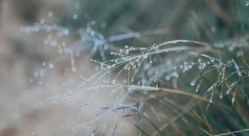 重建自我：離婚後的療癒與新生之路