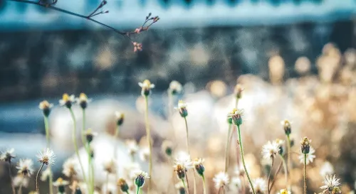 親子衝突的有效解決方案，重建家庭的和諧氛圍