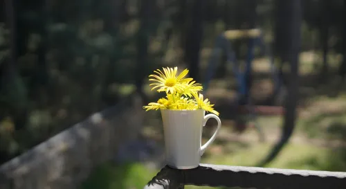 每天探病的先生的情緒變化