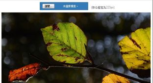將照片加入簽名檔