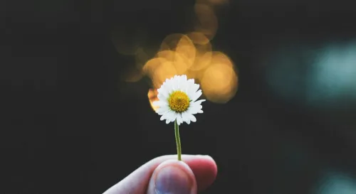 愛的價值：如何重新認識自己的存在意義