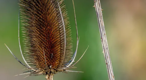 重建自信的內在力量：從挫折中蛻變的秘訣