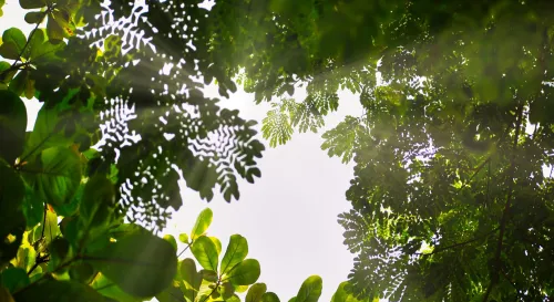 尋找內心的寧靜：在平凡生活中發現真正的快樂