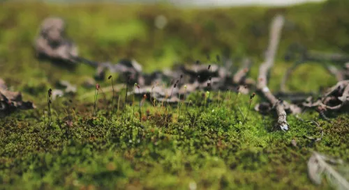 微觀星球的表面舞蹈：在細微之處交織的命運交響曲