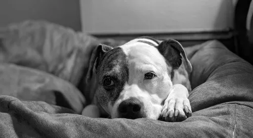 下班後的疲憊感：如何打破無所事事的惡性循環