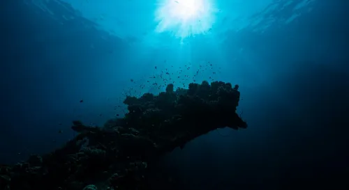 當星球的呼吸逐漸微弱，生命之舞走向終章