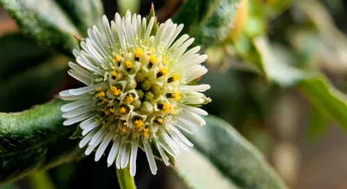 缺陷之美：在瑕疵中尋找材料的靈魂