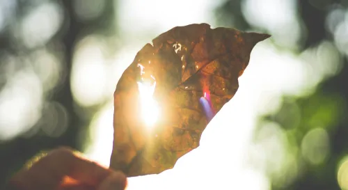 在波浪與粒子之間的舞蹈：光的秘密之旅