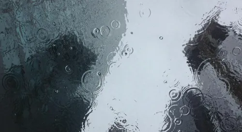 忙碌的耶誕節早晨