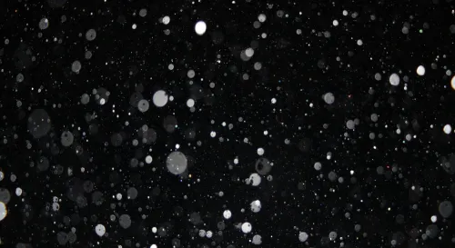 在微觀宇宙裡，無形的舞者：基本粒子的無窮魅力與孤獨