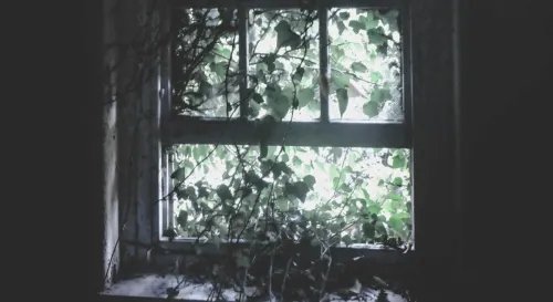 我總是把別人的需求擺在第一位，彷彿這是我存在的理由