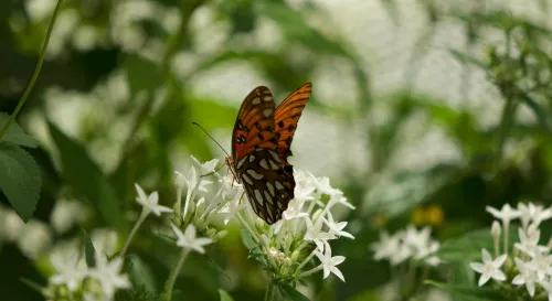 你比自己想像的更堅強