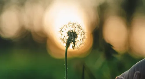 雖然很絕望，但我心裡還有一點點光亮沒熄掉