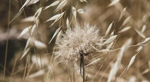 我現在沒那麼好，但也還過得去