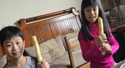 為期14天的一打二專案