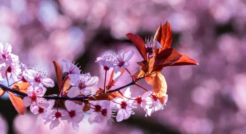 總是在失去之後才懂珍惜