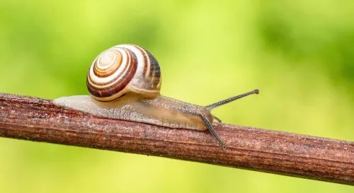 慢一點，也是在前進