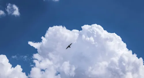 我不是怕失敗，我是怕多年後只剩一句早知道