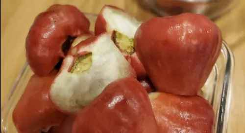 林邊黑珍珠傳說