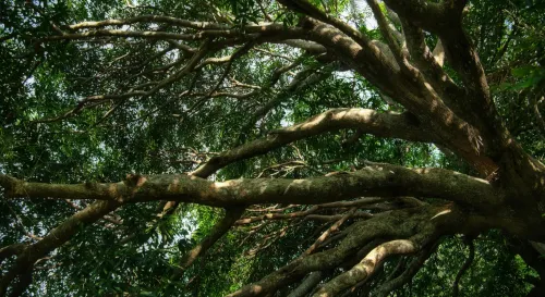 再堅強的人，也會有疲憊的一刻