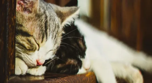 在低潮時，你最渴望的只是有人靜靜地陪伴，而不是給予建議