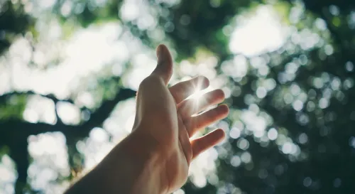 當你不再害怕孤獨，它就成了自由的形狀