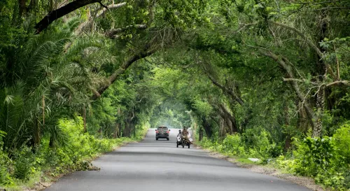 人生沒有單一路線，聰明與豁達各有風景