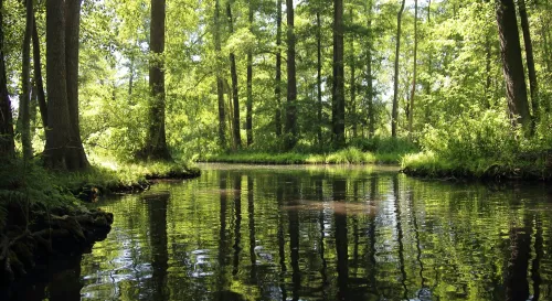 表面看似平靜的水面，往往隱藏著激烈的漣漪；而內心的沉穩，卻能在風暴中尋找到方向。