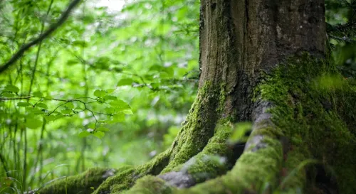 走得再遠，也別忘了自己從哪裡出發