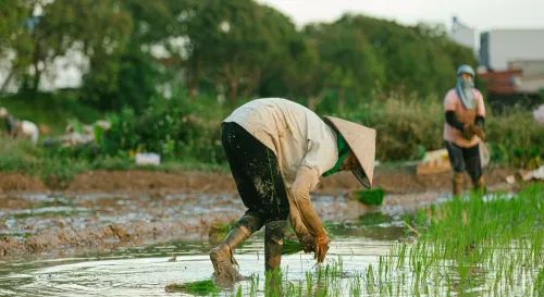 當天賦沉默時勤勞會替你說話