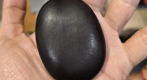 家長日的戰利品鴨腱藤