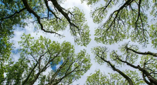 看似美好的背後其實有你不知道的努力與掙扎