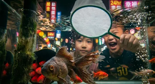 第一章：新兵訓練：紙網的張力理論