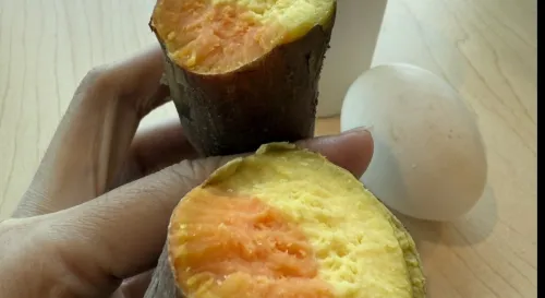 神奇地瓜