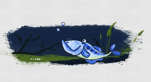 好久沒去逛魚店了