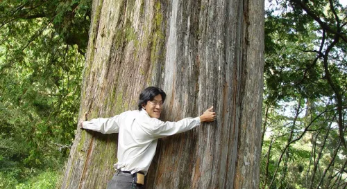 記憶裡的大關山隧道