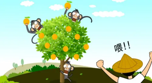 友善生態之果樹猴害防範技術