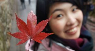 東福寺，雨天。
