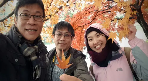 宇治的楓很美雨一直下。